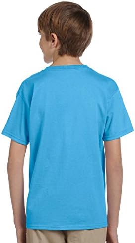 Fruit of the Стан - Памучен Младежка тениска с къс ръкав са от висококачествен памук - 3930BR