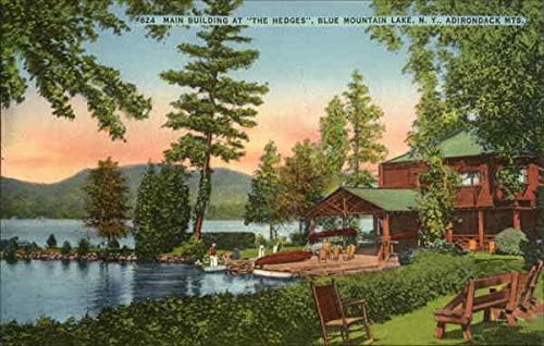Основната сграда в района на Хеджиране, щата Adirondack, САЩ. Езерото Blue Mountain, Ню Йорк, Ню Йорк, Оригинални антични картичка