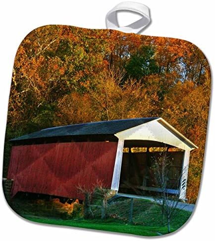 3D Роза Айова окръг Джаксън-Царевично стъбло-земеделие-Us16 Jwi0057-Поставка за саксии Джейми и Джуди Уайлд, 8 x 8